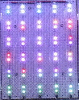 view of individual LEDs